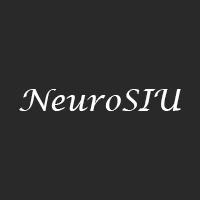 NeuroSIU